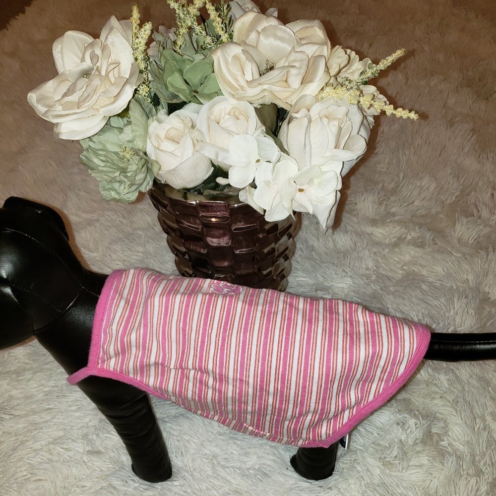 Pretty In Pink Paws